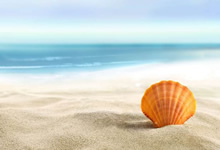 關(guān)于MDR法規(guī)2017/745：主要變化是什么？