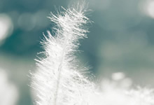 關(guān)于MDR法規(guī)2017/745:主要變化是什么?